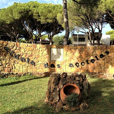 Casinha Nas Acoteias Daire Olhos de Agua  Dış mekan fotoğraf